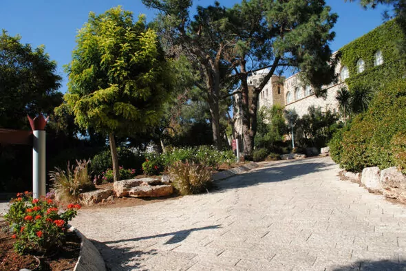 Ein Steinweg schlängelt sich durch einen Garten mit Bäumen, Sträuchern, Blumen und einem großen, mit Efeu bewachsenen Gebäude im Hintergrund unter einem strahlend blauen Himmel.